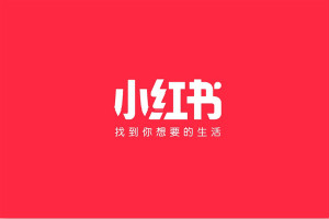 小紅書用的是什么快遞